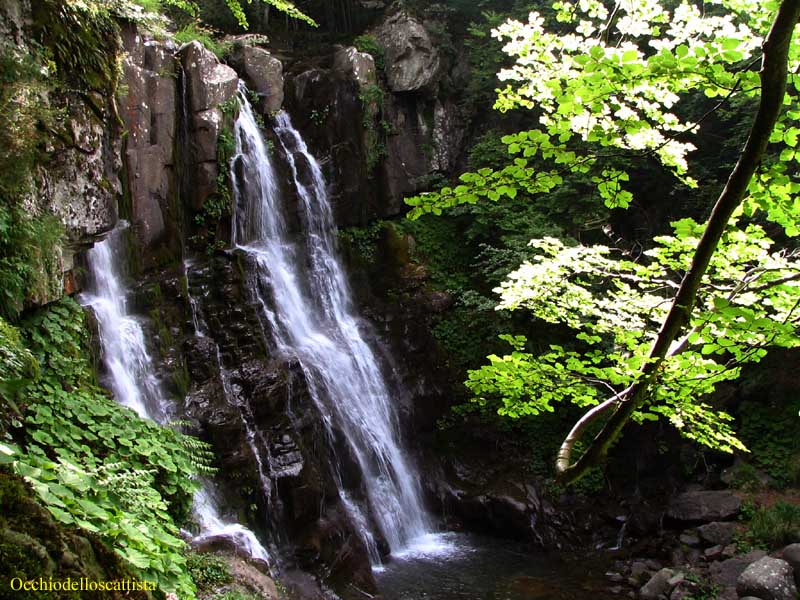  Image name: 04-cascate del dardagna.jpg 
 width: 800 pixel 
 height: 600 pixel 
 Size: 120541 bytes 
 Click to enlarge 